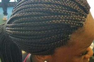 Unlock the Secrets of African Braiding Savannah: Discoveries and Insights for the Braids Niche | Africa Unveiled: Nature, Culture, and History