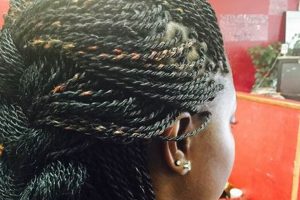 Unlock the Secrets of Exquisite Braids in Newport News, VA: Discover the Art of African Braiding Africa Unveiled: Nature, Culture, and History Unlock the Secrets of Exquisite Braids in Newport News, VA: Discover the Art of African Braiding | Africa Unveiled: Nature, Culture, and History