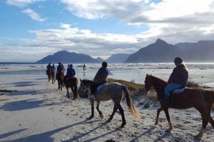 Discover the Enchanting Trails of Cape Town on Horseback: Unveil Nature's Secrets Africa Unveiled: Nature, Culture, and History Discover the Enchanting Trails of Cape Town on Horseback: Unveil Nature's Secrets | Africa Unveiled: Nature, Culture, and History