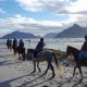 Discover the Enchanting Trails of Cape Town on Horseback: Unveil Nature's Secrets | Africa Unveiled: Nature, Culture, and History