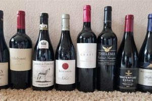 Unveiling the Gems: Your Journey to the Best South African Red Wines Africa Unveiled: Nature, Culture, and History Unveiling the Gems: Your Journey to the Best South African Red Wines | Africa Unveiled: Nature, Culture, and History
