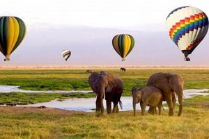 Unveiling the Wonders of South Africa from Above: A Journey into Hot Air Balloon Adventures Africa Unveiled: Nature, Culture, and History Unveiling the Wonders of South Africa from Above: A Journey into Hot Air Balloon Adventures | Africa Unveiled: Nature, Culture, and History