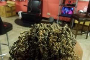 Unveil the Allure of African Braids in Columbus, MS: Discover Hidden Gems Africa Unveiled: Nature, Culture, and History Unveil the Allure of African Braids in Columbus, MS: Discover Hidden Gems | Africa Unveiled: Nature, Culture, and History