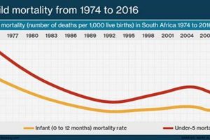 Unveiling the Truth: Infant Mortality in South Africa - Discoveries and Insights Africa Unveiled: Nature, Culture, and History Unveiling the Truth: Infant Mortality in South Africa - Discoveries and Insights | Africa Unveiled: Nature, Culture, and History