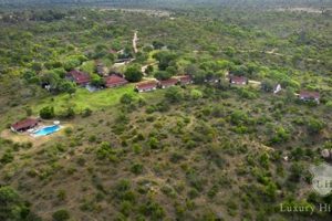 Kirkman Camp South Africa: Unveiling the Secrets of the African Wilderness | Africa Unveiled: Nature, Culture, and History