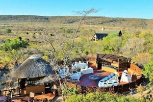 Discover the Untamed Beauty of Kololo Game Reserve, South Africa Africa Unveiled: Nature, Culture, and History Discover the Untamed Beauty of Kololo Game Reserve, South Africa | Africa Unveiled: Nature, Culture, and History