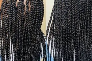 Unlock the Secrets of African Hair Braiding with Mimi: Discoveries and Insights Africa Unveiled: Nature, Culture, and History Unlock the Secrets of African Hair Braiding with Mimi: Discoveries and Insights | Africa Unveiled: Nature, Culture, and History