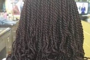 Unveil the Secrets of African Hair Braiding in Cary, NC: Expert Insights Revealed | Africa Unveiled: Nature, Culture, and History