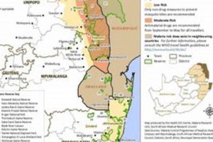 Unlocking the Secrets of Malaria in Kruger: Discoveries and Insights for a Safe Safari | Africa Unveiled: Nature, Culture, and History