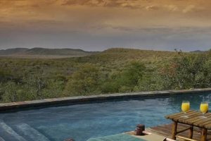 Unveiling the Wild Heart of Africa: Buffalo Ridge Safari Lodge South Africa Africa Unveiled: Nature, Culture, and History Unveiling the Wild Heart of Africa: Buffalo Ridge Safari Lodge South Africa | Africa Unveiled: Nature, Culture, and History