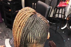 Discover the Secrets of African Hair Braiding in Greensboro for Flawless Braids Africa Unveiled: Nature, Culture, and History Discover the Secrets of African Hair Braiding in Greensboro for Flawless Braids | Africa Unveiled: Nature, Culture, and History