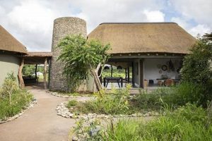 Unveiling the Enchanting Wildlife Haven: Unveiling the Secrets of Mjejane Game Reserve, South Africa | Africa Unveiled: Nature, Culture, and History