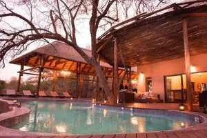 Discover the Uncharted Gems of Moditlo River Lodge, South Africa Africa Unveiled: Nature, Culture, and History Discover the Uncharted Gems of Moditlo River Lodge, South Africa | Africa Unveiled: Nature, Culture, and History