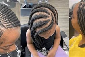 Discover the Secrets of African Hair Braiding in Humble, TX | Africa Unveiled: Nature, Culture, and History