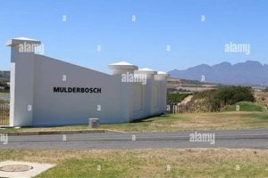 Unveiling Mulderbosch: Discoveries and Insights from the Heart of South Africa | Africa Unveiled: Nature, Culture, and History