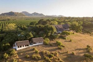 Buhala Lodge: Your Gateway to Unforgettable Safari Discoveries in South Africa Africa Unveiled: Nature, Culture, and History Buhala Lodge: Your Gateway to Unforgettable Safari Discoveries in South Africa | Africa Unveiled: Nature, Culture, and History