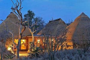 Unveiling the Wonders of Camp Jabulani: Discoveries in the South African Bushveld Africa Unveiled: Nature, Culture, and History Unveiling the Wonders of Camp Jabulani: Discoveries in the South African Bushveld | Africa Unveiled: Nature, Culture, and History