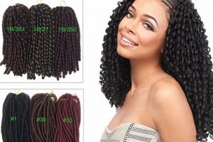 Unveiling the Beauty and Heritage of Nina African Hair Braiding: Your Journey to Cultural Exploration and Protective Styling | Africa Unveiled: Nature, Culture, and History