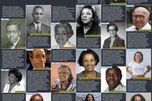 Unlocking Mathematical Treasures: Discoveries from African American Mathematicians Africa Unveiled: Nature, Culture, and History Unlocking Mathematical Treasures: Discoveries from African American Mathematicians | Africa Unveiled: Nature, Culture, and History