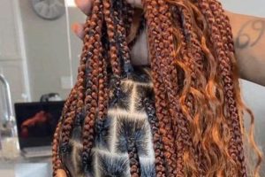 Unveiling the Beauty and Versatility of Ola: A Comprehensive Guide to African Hair Braiding | Africa Unveiled: Nature, Culture, and History