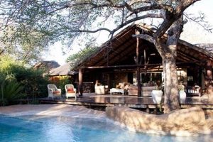 Unveil the Enchanting Secrets of Chapungu Lodge, South Africa's Safari Haven Africa Unveiled: Nature, Culture, and History Unveil the Enchanting Secrets of Chapungu Lodge, South Africa's Safari Haven | Africa Unveiled: Nature, Culture, and History