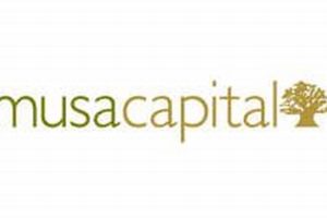 Unveiling Musa Capital South Africa: Your Gateway to Unparalleled Investment Insights Africa Unveiled: Nature, Culture, and History Unveiling Musa Capital South Africa: Your Gateway to Unparalleled Investment Insights | Africa Unveiled: Nature, Culture, and History