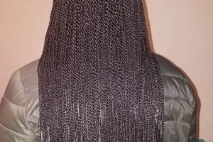 Discover the Secrets of African Hair Braiding in Norristown, PA Africa Unveiled: Nature, Culture, and History Discover the Secrets of African Hair Braiding in Norristown, PA | Africa Unveiled: Nature, Culture, and History
