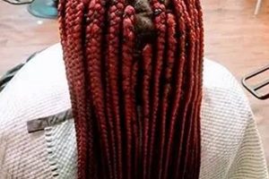 Unveil the Secrets of African Hair Braiding in Fort Wayne, Indiana Africa Unveiled: Nature, Culture, and History Unveil the Secrets of African Hair Braiding in Fort Wayne, Indiana | Africa Unveiled: Nature, Culture, and History