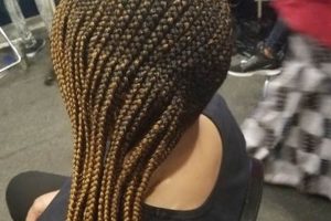 Unlock the Secrets of African Hair Braiding in Oak Park, MI Africa Unveiled: Nature, Culture, and History Unlock the Secrets of African Hair Braiding in Oak Park, MI | Africa Unveiled: Nature, Culture, and History