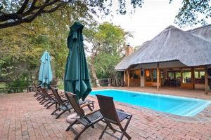 Discover the Enchanting Serondella: A Wildlife Paradise in South Africa Africa Unveiled: Nature, Culture, and History Discover the Enchanting Serondella: A Wildlife Paradise in South Africa | Africa Unveiled: Nature, Culture, and History