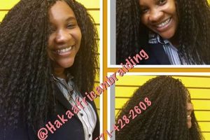 Unveiling the Secrets of African Hair Braiding: A Journey of Discovery Africa Unveiled: Nature, Culture, and History Unveiling the Secrets of African Hair Braiding: A Journey of Discovery | Africa Unveiled: Nature, Culture, and History