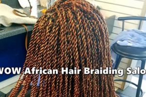 African Hair Braiding Unveiled: Discoveries and Insights in the Vibrant West End Africa Unveiled: Nature, Culture, and History African Hair Braiding Unveiled: Discoveries and Insights in the Vibrant West End | Africa Unveiled: Nature, Culture, and History