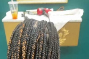 Unveil the Enchanting World of Afro Antillaise Hair Braiding Africa Unveiled: Nature, Culture, and History Unveil the Enchanting World of Afro Antillaise Hair Braiding | Africa Unveiled: Nature, Culture, and History