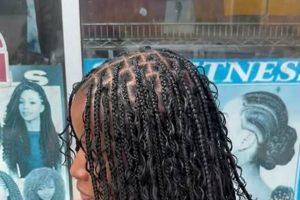 Unlock the Secrets of African Hair Braiding: Discoveries and Insights at Amy's Columbus Africa Unveiled: Nature, Culture, and History Unlock the Secrets of African Hair Braiding: Discoveries and Insights at Amy's Columbus | Africa Unveiled: Nature, Culture, and History