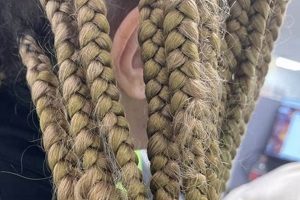 Anointed African Hair Braiding Africa Unveiled: Nature, Culture, and History Anointed African Hair Braiding | Africa Unveiled: Nature, Culture, and History