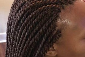 Unveiling the Allure of Ava African Hair Braiding: Discoveries and Insights Africa Unveiled: Nature, Culture, and History Unveiling the Allure of Ava African Hair Braiding: Discoveries and Insights | Africa Unveiled: Nature, Culture, and History