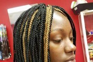 Unlock the Secrets of African Hair Braiding in Chester, PA Africa Unveiled: Nature, Culture, and History Unlock the Secrets of African Hair Braiding in Chester, PA | Africa Unveiled: Nature, Culture, and History
