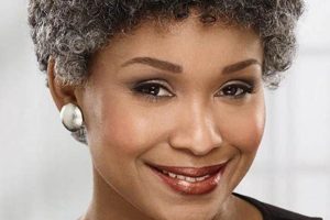 Unveil Stunning Discoveries: Human Hair Wigs for African American Beauties Africa Unveiled: Nature, Culture, and History Unveil Stunning Discoveries: Human Hair Wigs for African American Beauties | Africa Unveiled: Nature, Culture, and History