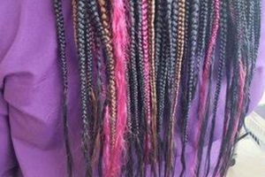 Unlock the Secrets of Bousso: A Journey into African Hair Braiding Excellence Africa Unveiled: Nature, Culture, and History Unlock the Secrets of Bousso: A Journey into African Hair Braiding Excellence | Africa Unveiled: Nature, Culture, and History