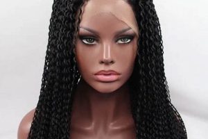 Discover the Allure of Micro Braid Wigs for African American Women Africa Unveiled: Nature, Culture, and History Discover the Allure of Micro Braid Wigs for African American Women | Africa Unveiled: Nature, Culture, and History