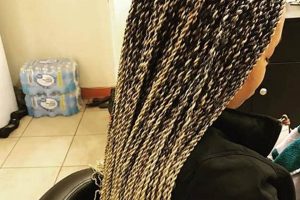 Discover the Enchanting World of African Hair Braiding with Cece's Skilled Hands Africa Unveiled: Nature, Culture, and History Discover the Enchanting World of African Hair Braiding with Cece's Skilled Hands | Africa Unveiled: Nature, Culture, and History