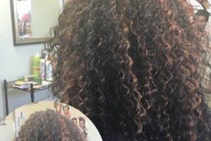 Unveiling the Timeless Allure of Chik African Hair Braiding Africa Unveiled: Nature, Culture, and History Unveiling the Timeless Allure of Chik African Hair Braiding | Africa Unveiled: Nature, Culture, and History