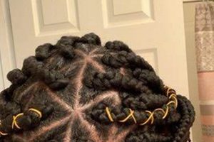Unleash the Secrets of Conteh African Hair Braiding: A Journey of Discovery and Insight Africa Unveiled: Nature, Culture, and History Unleash the Secrets of Conteh African Hair Braiding: A Journey of Discovery and Insight | Africa Unveiled: Nature, Culture, and History