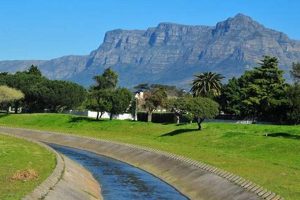 Uncover the Enchanting Heart of Pinelands, Cape Town's Southern Jewel Africa Unveiled: Nature, Culture, and History Uncover the Enchanting Heart of Pinelands, Cape Town's Southern Jewel | Africa Unveiled: Nature, Culture, and History