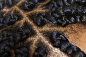 Uncover the Secrets of African Hair Braiding in Stamford, CT: A Journey of Beauty and Tradition Africa Unveiled: Nature, Culture, and History Uncover the Secrets of African Hair Braiding in Stamford, CT: A Journey of Beauty and Tradition | Africa Unveiled: Nature, Culture, and History