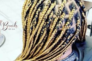 Unveil the Allure of African Hair Braiding Inkster: A Journey of Discovery Africa Unveiled: Nature, Culture, and History Unveil the Allure of African Hair Braiding Inkster: A Journey of Discovery | Africa Unveiled: Nature, Culture, and History