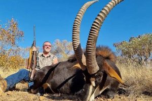 Unveiling the Enigmatic World of Plains Game Hunting in South Africa Africa Unveiled: Nature, Culture, and History Unveiling the Enigmatic World of Plains Game Hunting in South Africa | Africa Unveiled: Nature, Culture, and History