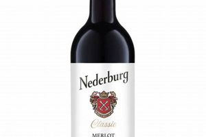 Unveiling the Treasures of Nederburg: South Africa's Winemaking Jewel Africa Unveiled: Nature, Culture, and History Unveiling the Treasures of Nederburg: South Africa's Winemaking Jewel | Africa Unveiled: Nature, Culture, and History