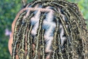 Unveil the Enchanting World of African Hair Braiding in Katy, TX | Africa Unveiled: Nature, Culture, and History