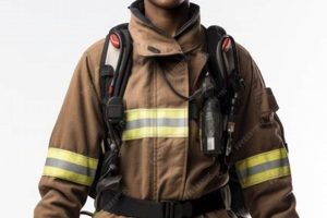 Discover the Untold Stories of Trailblazing African American Female Firefighters Africa Unveiled: Nature, Culture, and History Discover the Untold Stories of Trailblazing African American Female Firefighters | Africa Unveiled: Nature, Culture, and History